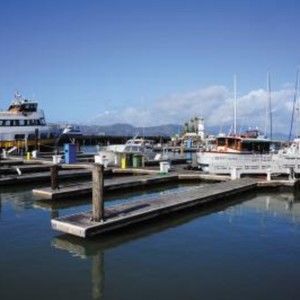 Meet your Posher, Jerald